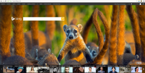 bing home page